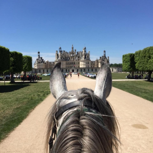 Loire valley : one week trail ride from castle to castle