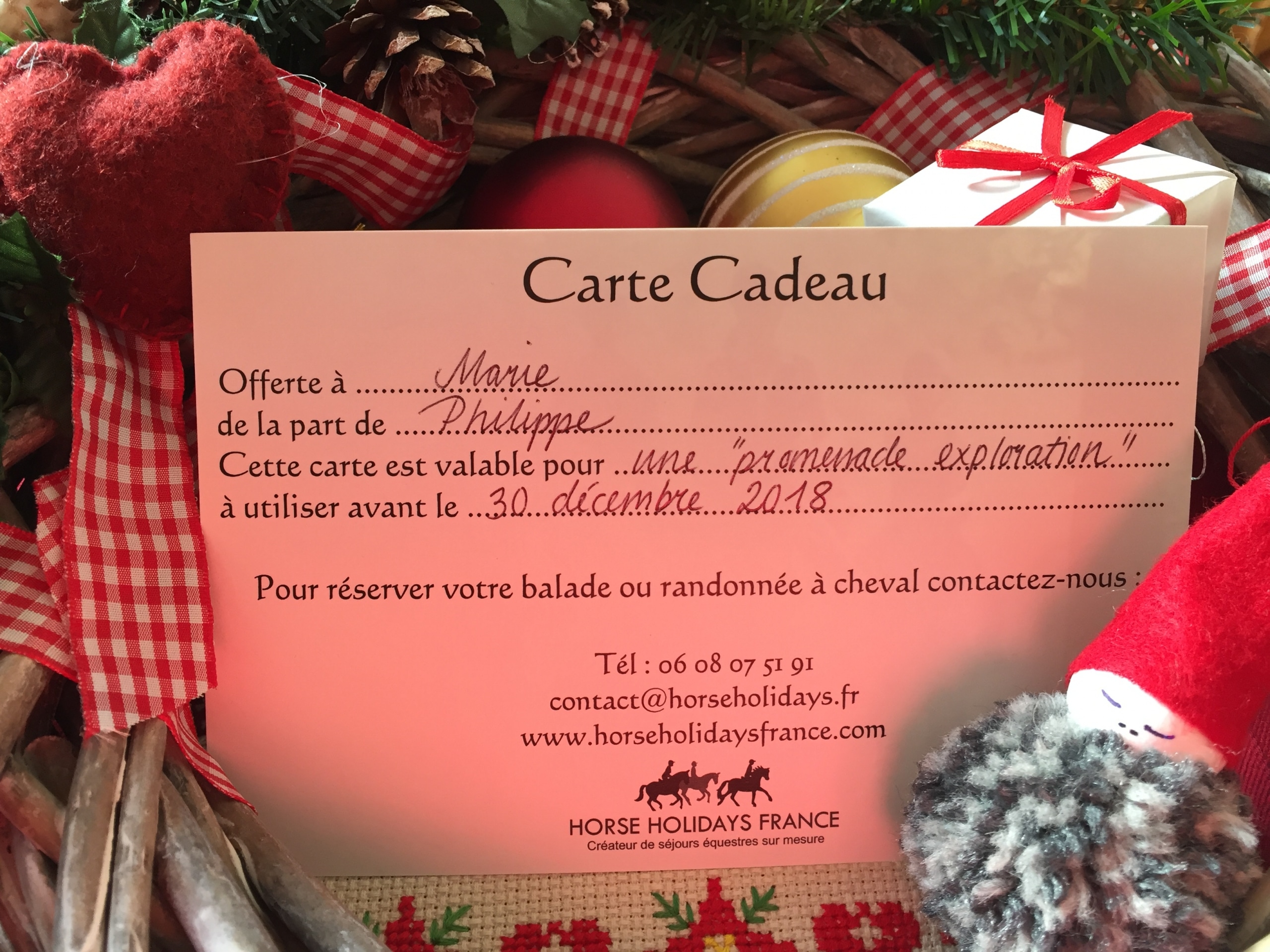 Cadeau de Noël pour cheval : notre séléction - HoCaPa